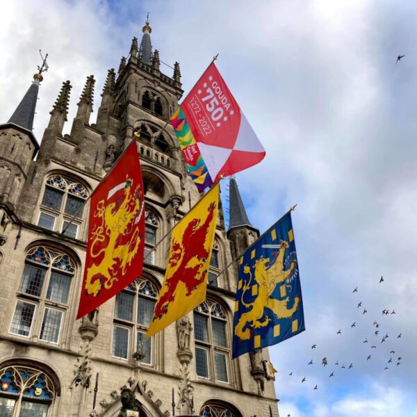 Vlag Gouda750